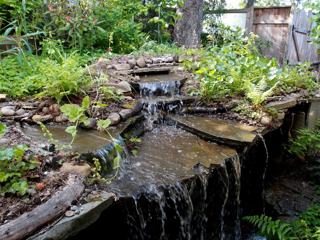 Grow a Habitat - Backyard Habitats