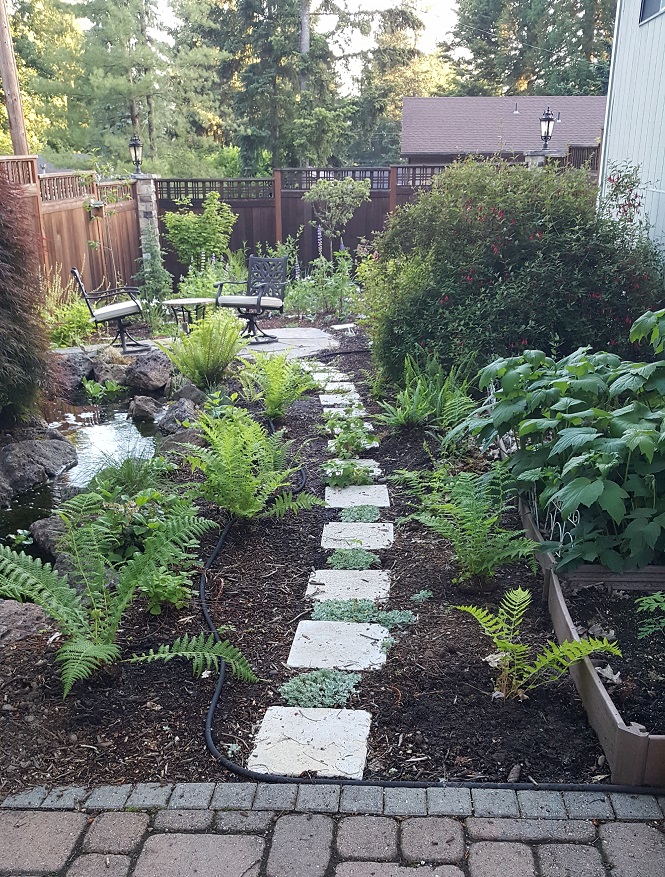 A backyard garden with a stone path and ferns.