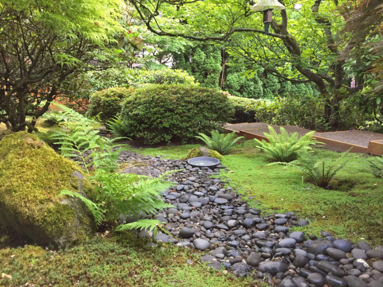 A japanese garden with rocks and ferns.