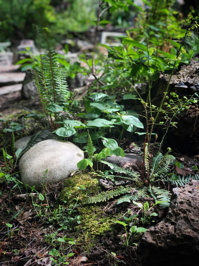 A rock sits in the middle of a garden.