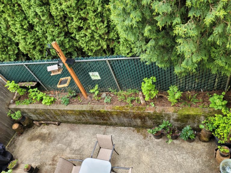 An aerial view of a backyard with a table and chairs.