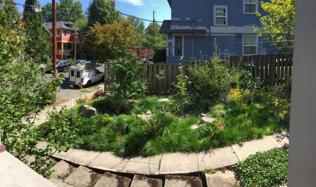 Open Gardens Project - Featuring Paolo's Habitat - Backyard Habitats