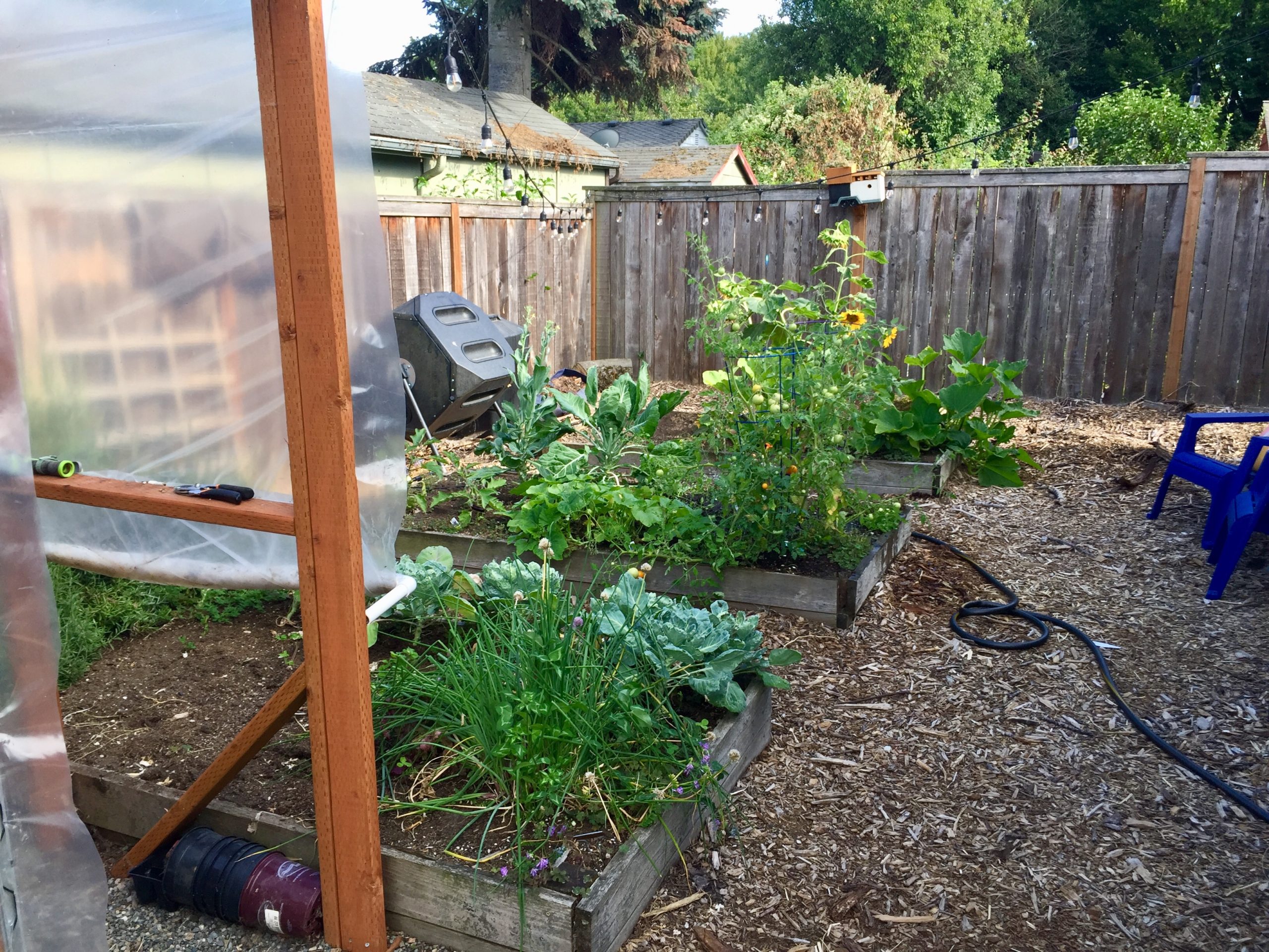 Open Gardens Project - Featuring Andrew's Habitat - Backyard Habitats