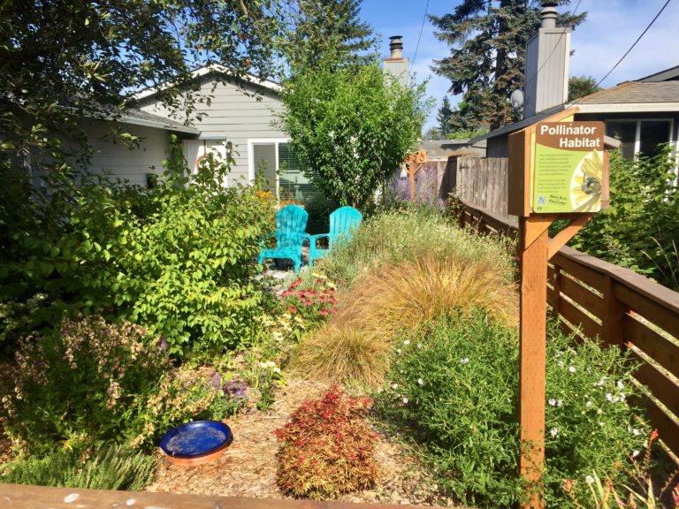 A small backyard with a wooden fence and a sign.