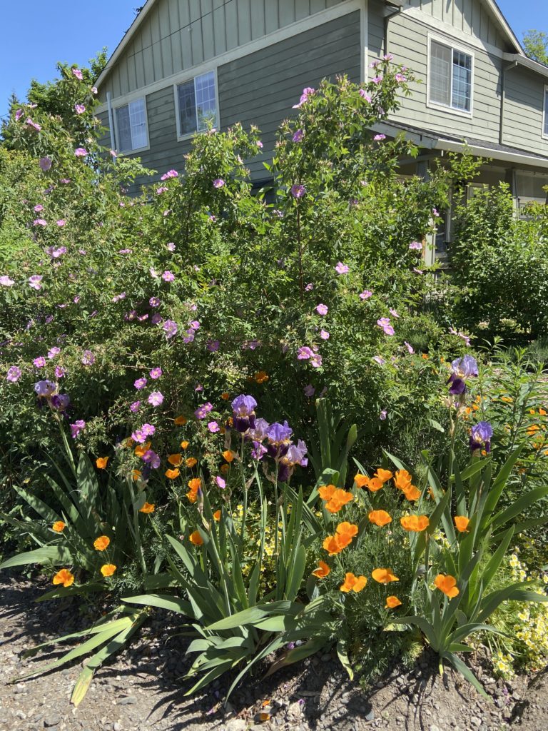 A flower bed in front of a house.