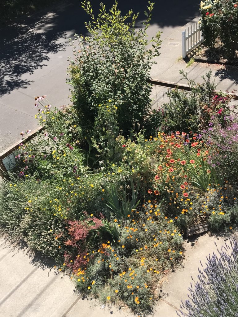 A garden in the middle of a street.