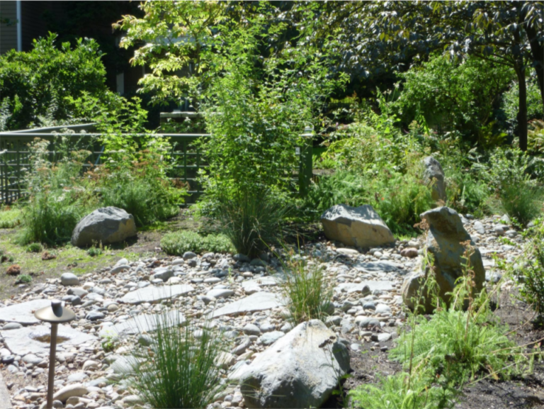 A garden with rocks and plants in it.