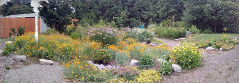 A garden with a lot of flowers and rocks.