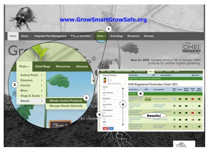A screenshot of a website, www.GrowSmartGrowSafe.org, showing a section on pests and weeds control. The zoomed-in segment highlights the navigation menu with tabs for "Pests," "Good Bugs," "Resources," and "Glossary." Results of a search are displayed on the right.