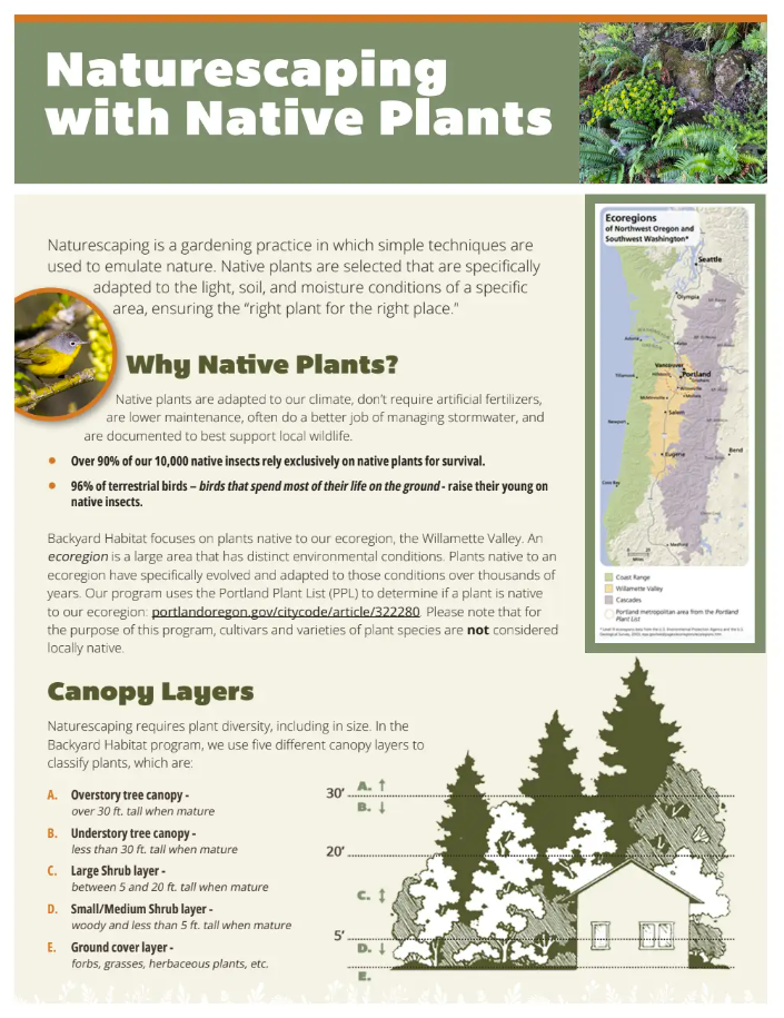 A guide titled "Naturescaping with Native Plants" features information on benefits of native plants, such as low maintenance and supporting local wildlife. Includes a U.S. map of ecoregions and a diagram depicting various native plant canopy layers.