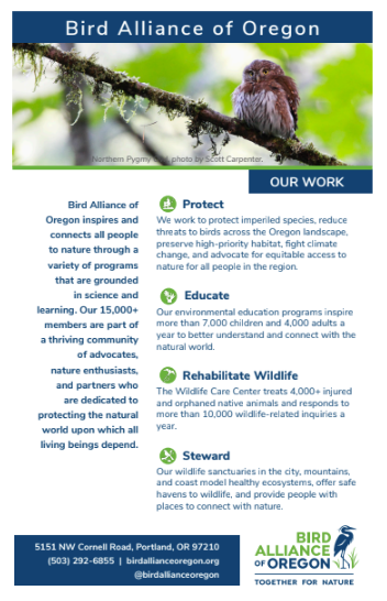 A flyer from the Bird Alliance of Oregon. It lists their work efforts including protecting wildlife, educating about nature, rehabilitating wildlife, and stewarding wildlife sanctuaries. The address and other contact information are at the bottom.