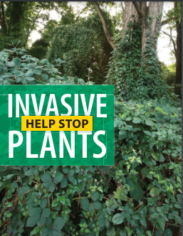 A dense growth of green plants covers a forested area. A large sign with a green background and yellow border in the foreground reads, "Invasive Plants." Below it, a yellow bar with black text reads, "Help Stop.