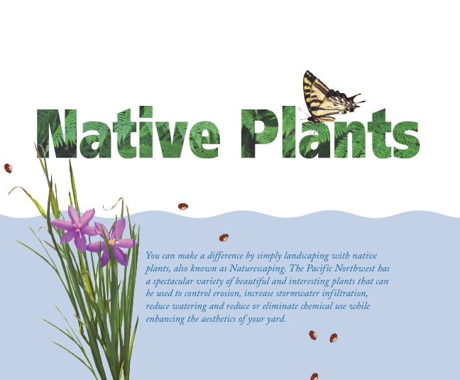 Text reads "Native Plants" overlaid with an image of plants, a butterfly, and a ladybug. Below the text is an illustration of purple flowers and more ladybugs with accompanying text about the benefits of using native plants in landscaping to control erosion.
