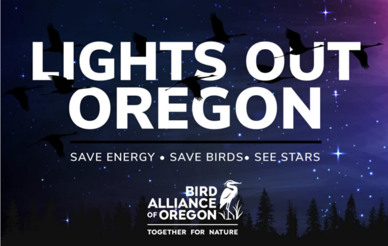 A "Lights Out Oregon" graphic promoting energy saving, bird conservation, and star visibility features text that reads: "Save Energy. Save Birds. See Stars." The image includes a logo for Bird Alliance of Oregon and silhouettes of birds against a starry night sky.