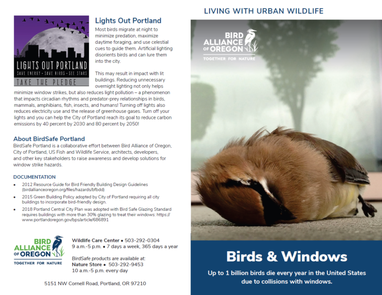 A brochure titled "Living with Urban Wildlife" from the Bird Alliance of Oregon. It includes sections on "Lights Out Portland" and "Birds & Windows," with an image of a bird that has collided with a window, and contact information for the organization.