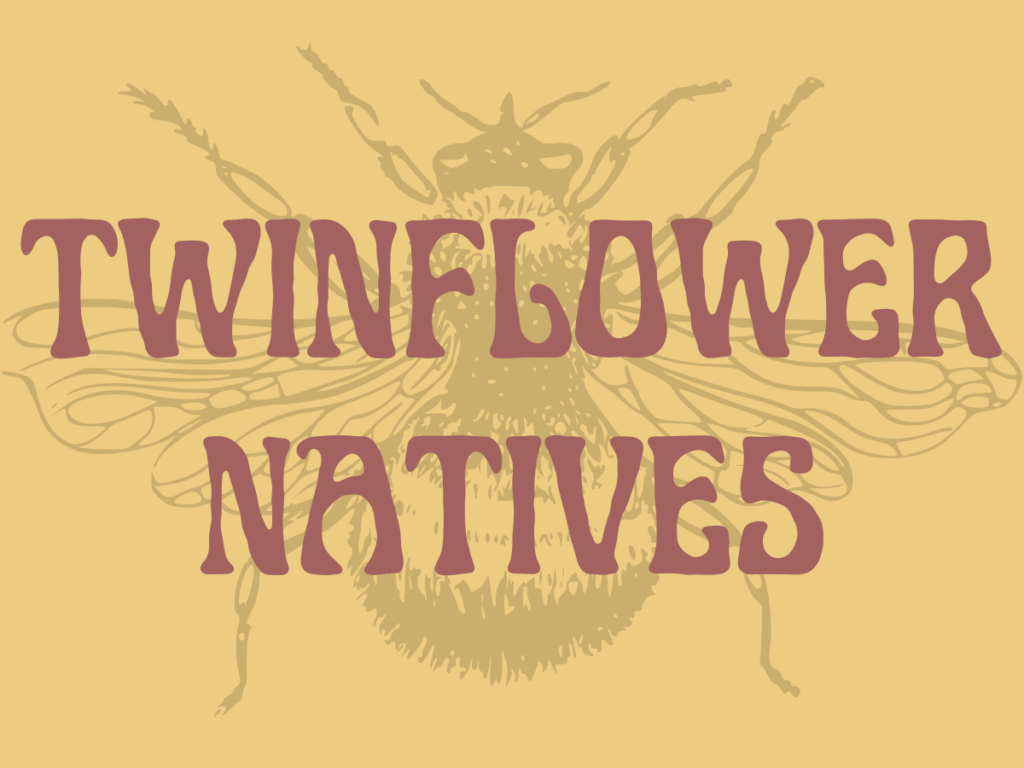 The logo for twinflower natives.