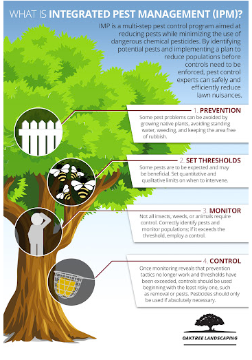 Termite Control