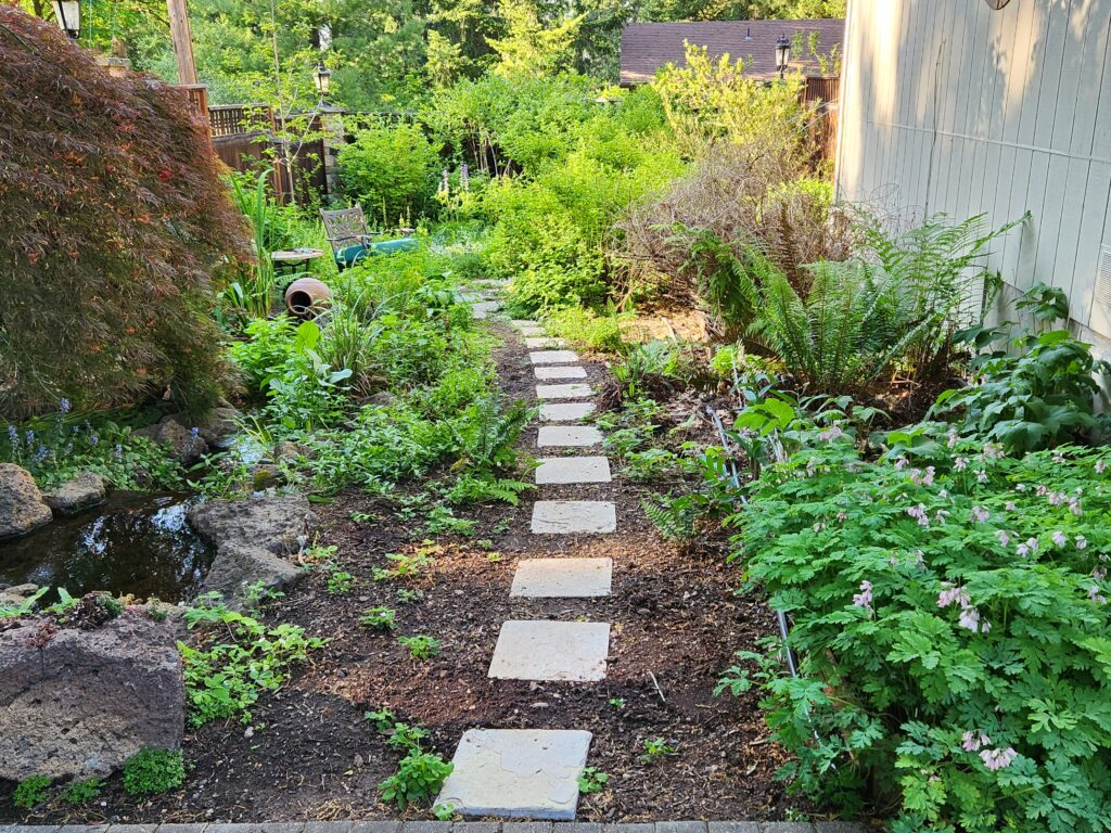 A tranquil garden path lined with square stepping stones, surrounded by lush green plants and a small pond, with a wooden structure visible in the background.