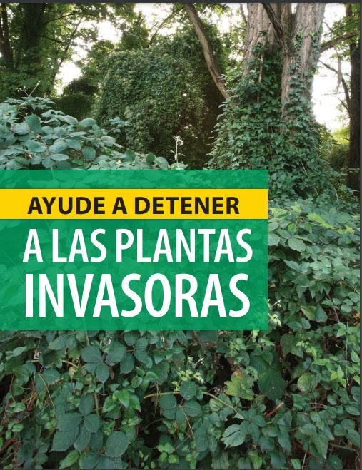 Lush greenery of various plants and trees is overgrown, with ivy covering tree trunks. A prominent sign in Spanish reads, "Ayude a detener a las plantas invasoras," translating to "Help stop invasive plants.