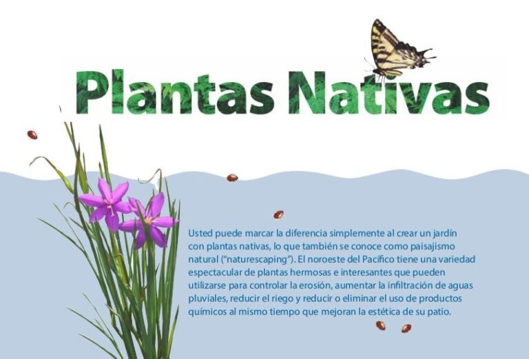 Text reads "Plantas Nativas" at the top with a butterfly near the word. Below is a description about native plants set against a wave-like blue background. On the left, pink flowers with long green stems and several ladybugs are visible.