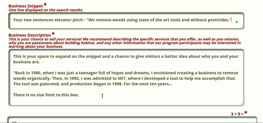 Screenshot of a webpage showing a business snippet section and an elevator pitch. The snippet includes a brief description of services. The elevator pitch details a company's history and mission, mentioning past projects. A math captcha, 3 + 9 =, is at the bottom.