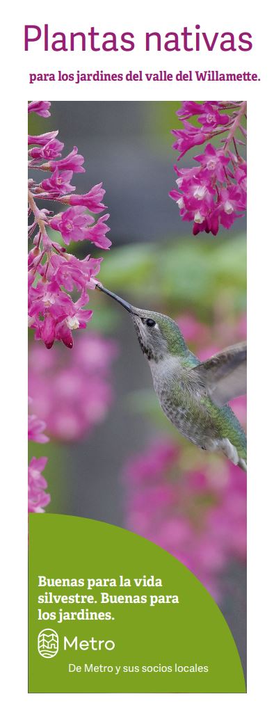 A hummingbird hovers near pink flowers on a plant. Text above says "Plantas nativas" and below promotes native plants for gardens in the Willamette Valley. The bottom green section has a logo and mentions Metro and its local partners.