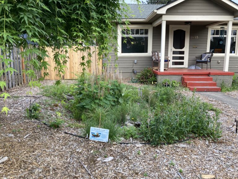 A small front yard garden with various green plants and a sign in front, surrounded by wood chips, in front of a gray house with a red porch and wooden fence on the left.