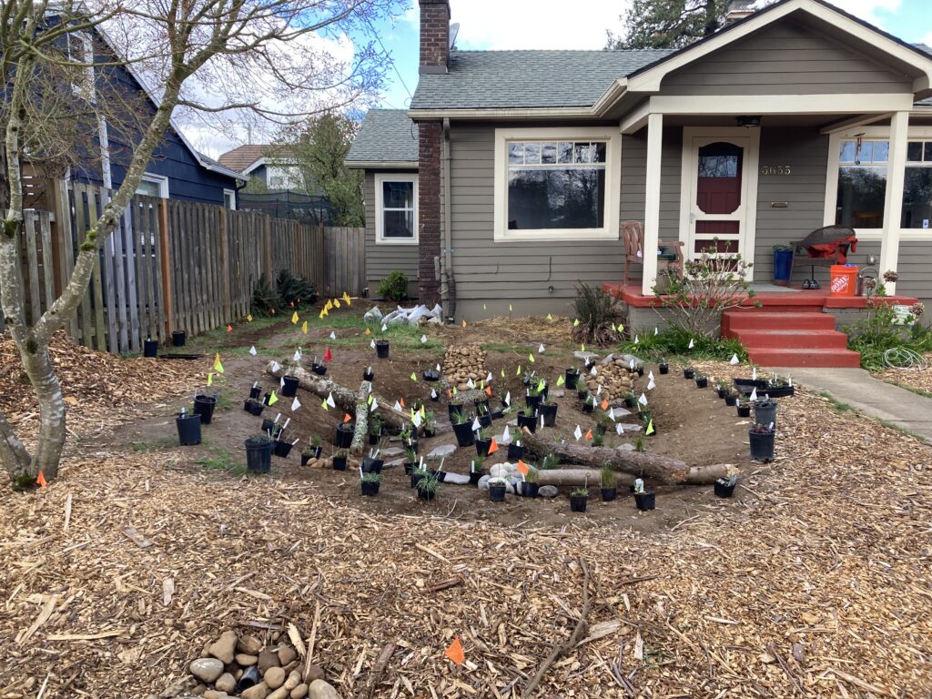 Front yard of a house with many small potted plants arranged on bare soil, marked by colored flags. Logs create a border in the middle. Wood chips cover the foreground, and gardening supplies are visible near the porch.