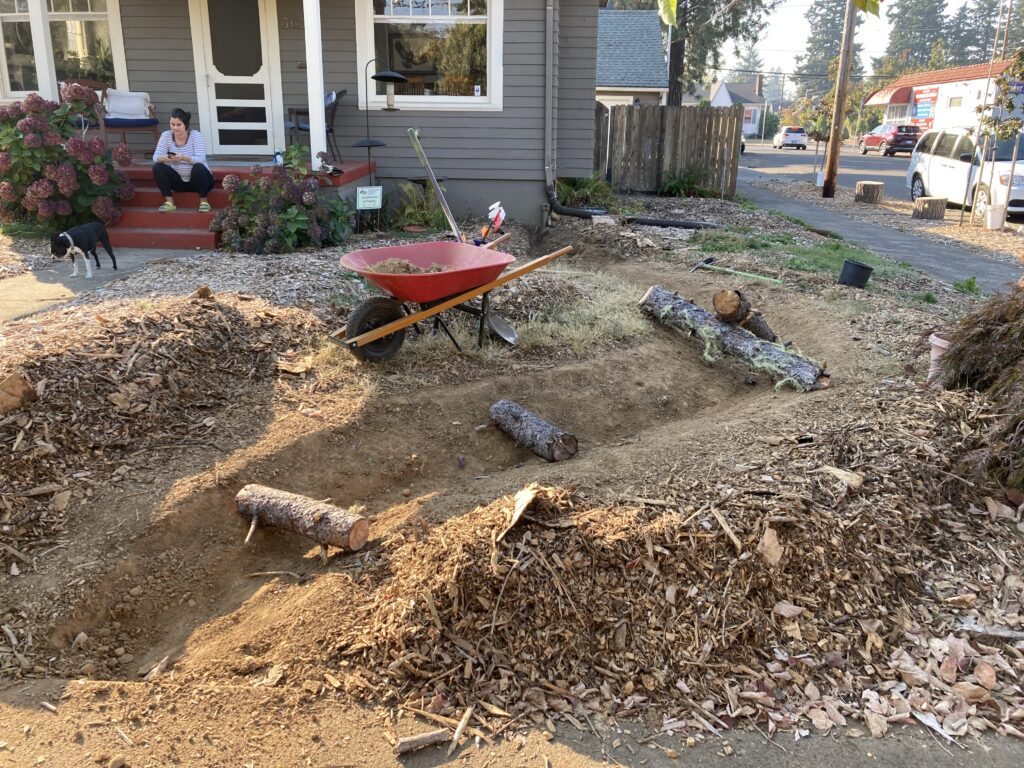 A yard with piles of dirt and wood chips, several logs, a red wheelbarrow with a shovel, and gardening tools. A woman sits on the porch steps, and a dog stands nearby. A house and street are in the background.