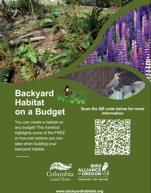 A promotional flyer for "Backyard Habitat on a Budget" featuring photos of a garden, blooming flowers, a bird, a QR code, and logos for Columbia Land Trust and Bird Alliance of Oregon. Green background with white text.