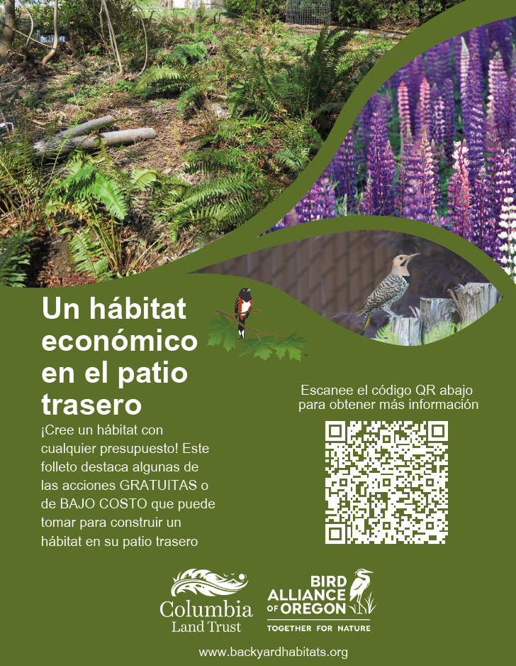 Spanish-language flyer with photos of native plants and birds, and a prominent QR code. It promotes creating an affordable backyard habitat with free and low-cost actions. Logos for Columbia Land Trust and Bird Alliance of Oregon appear at the bottom.
