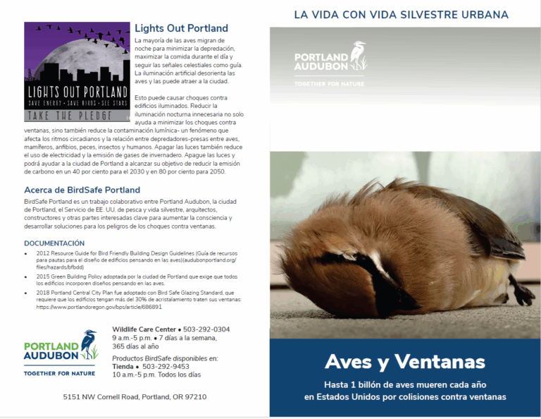 A brochure from Portland Audubon features an image of a small brown bird lying on its side, accompanied by text about bird-window collisions and the "Lights Out Portland" initiative.