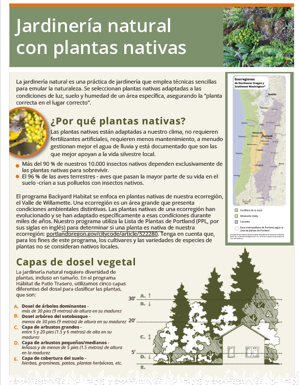 Spanish-language infographic about natural gardening with native plants. Includes text, a small map of the Willamette Valley, a diagram of native plant layers, and icons of plants, pollinators, and birds.