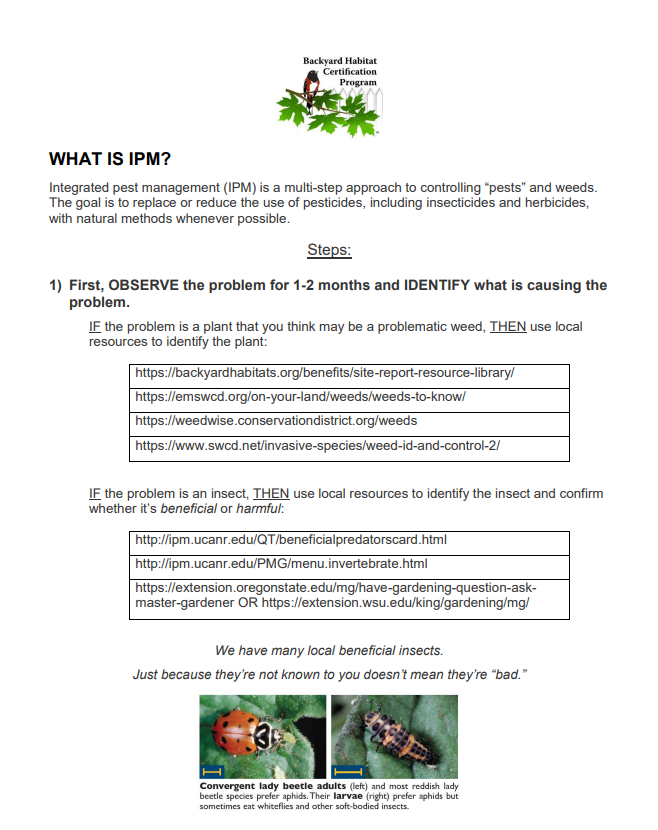 A guide titled "WHAT IS IPM?" with steps for identifying and managing pests using Integrated Pest Management. Includes website links, bullet points, and a photo of a beneficial beetle eating pests. Contains logos and highlighted text.