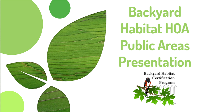 Presentation slide with green leaf graphics, text reading "Backyard Habitat HOA Public Areas Presentation," and the Backyard Habitat Certification Program logo featuring a bird, leaves, and a white picket fence.