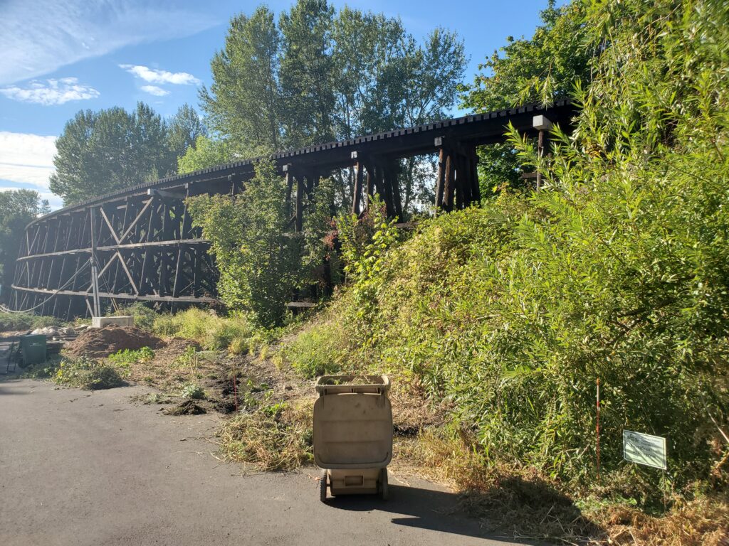 A wooden railway trestle bridge spans above dense green vegetation and trees. In the foreground, a gray trash bin stands on the edge of a paved path. The sky is mostly clear with scattered clouds.
