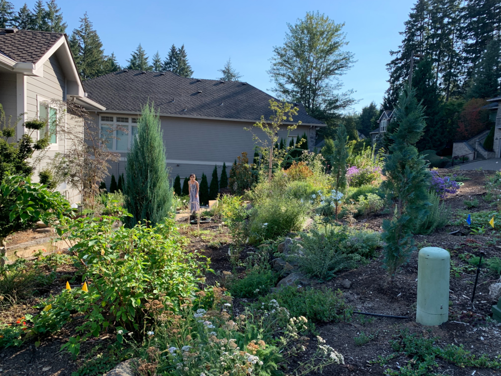 A person stands in a large residential front yard garden filled with various shrubs, trees, and flowering plants. The garden is next to a house with forested trees and additional houses visible in the background.
