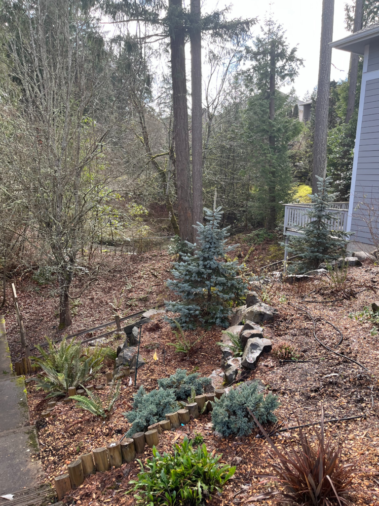 A small landscaped garden with rocks and evergreen shrubs is in the foreground. A forested area with tall trees is in the background. Part of a gray house and its porch is visible on the right side.