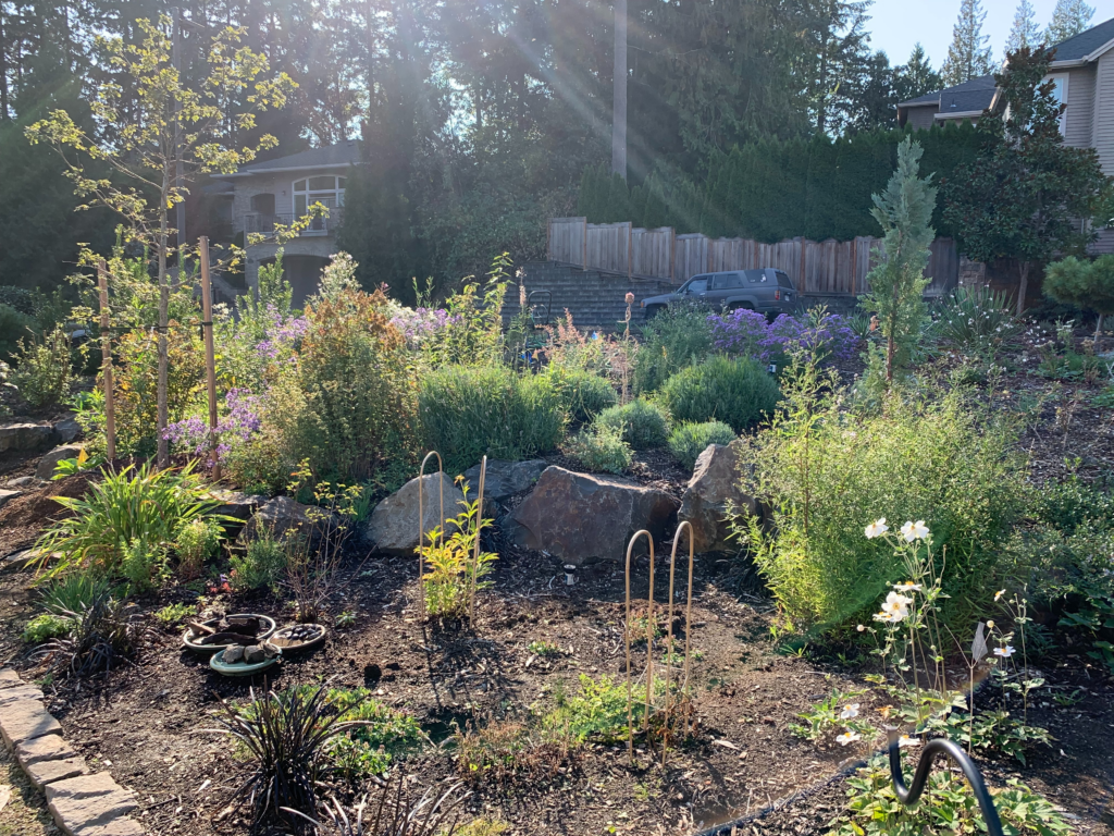 A sunlit garden with various green plants, flowers, and large rocks. A curved stone border outlines the garden bed. A house, wooden fence, and parked car are visible in the background. Sun rays filter through the trees.