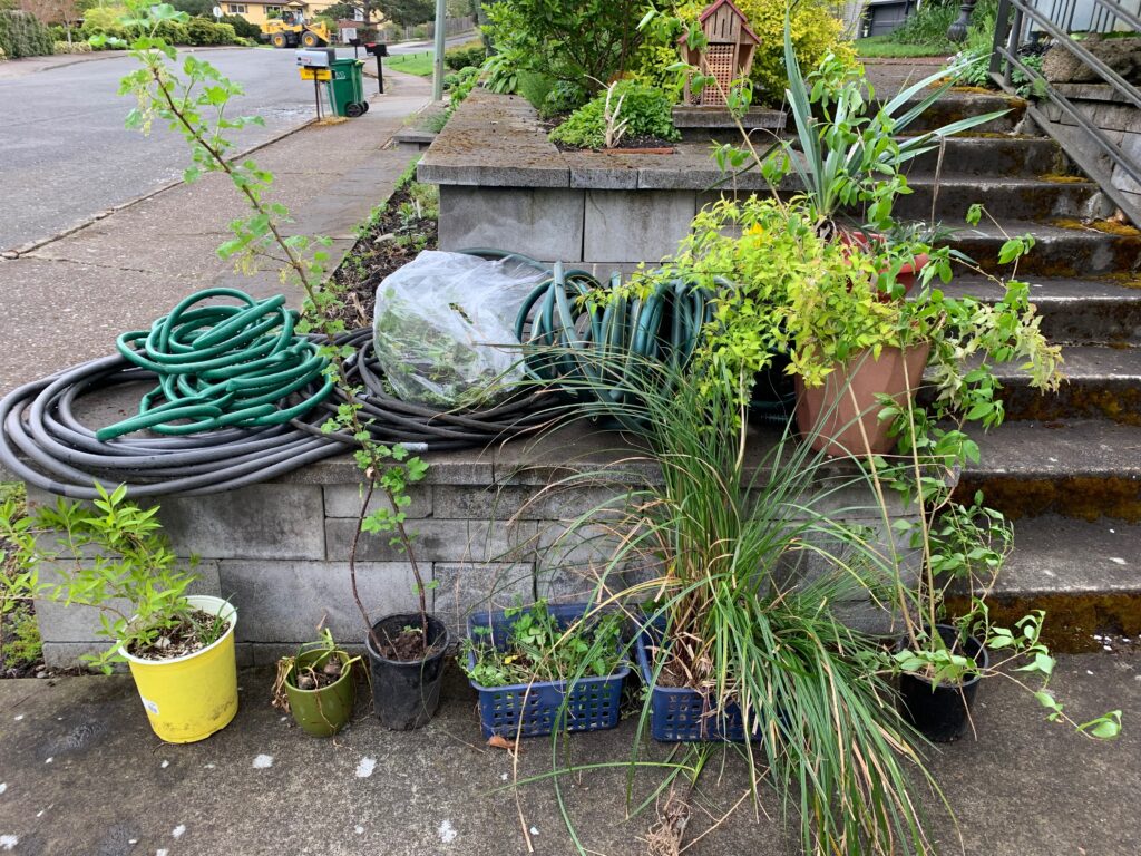 Several potted plants, coiled green garden hoses, and a covered item are arranged along a concrete sidewalk near mossy steps and a retaining wall in a residential neighborhood.